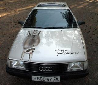 ������������� �����������