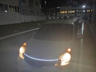 ������������� �����������