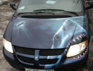 ������������� �����������